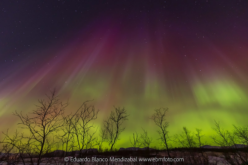 aurora boreal colores